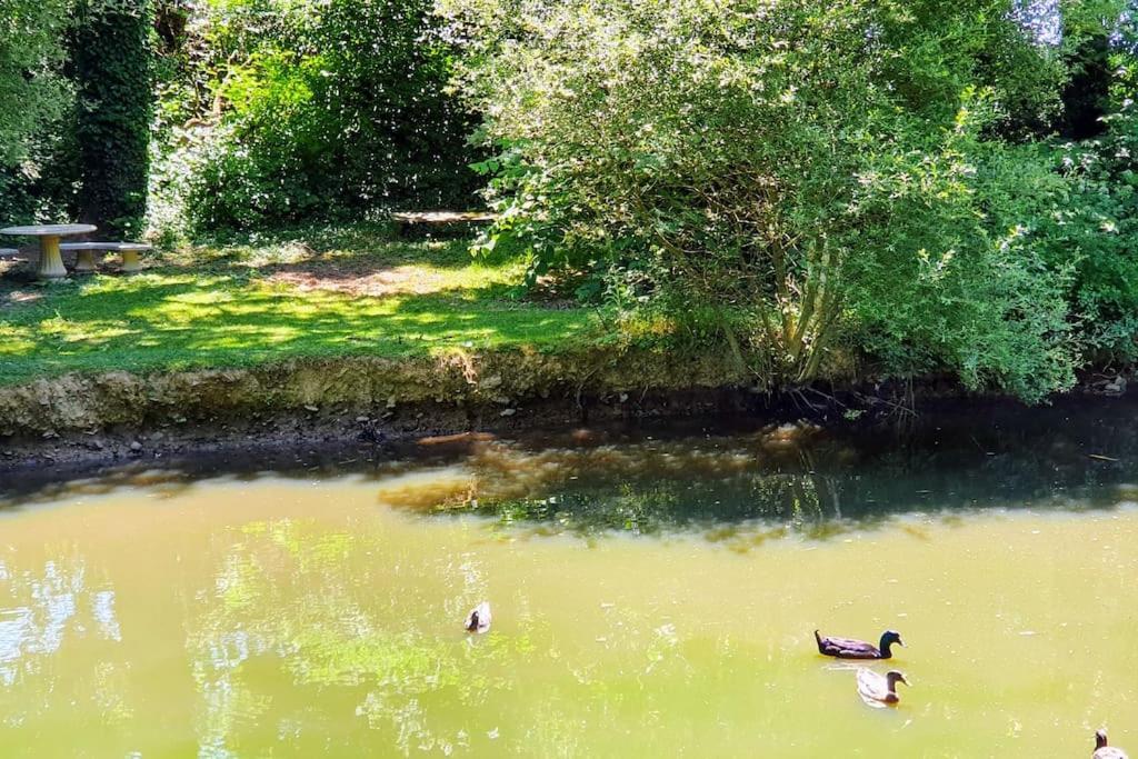 Tout Le Confort Au Milieu D'Un Parc Botanique Noyal-Muzillac 外观 照片